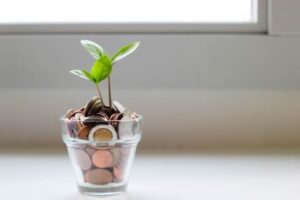 A plant in a clear pot, in stead of soil there is various coins. Employee giving can be a foundation for more giving. CDS Fundraising. 