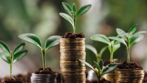 Stacks of coins with dirt and small growing plants on top of them, representing the idea of sustainable fundraising